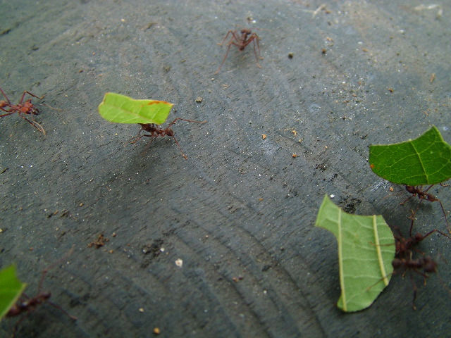 DSCF3018.JPG