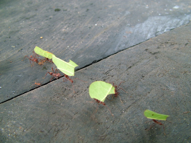DSCF3019.JPG