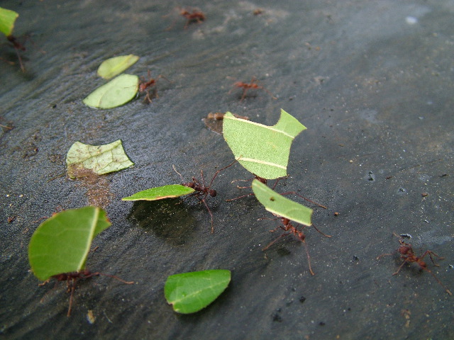 DSCF3020.JPG