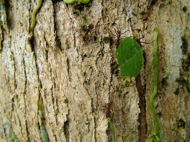 DSCF3022.JPG
