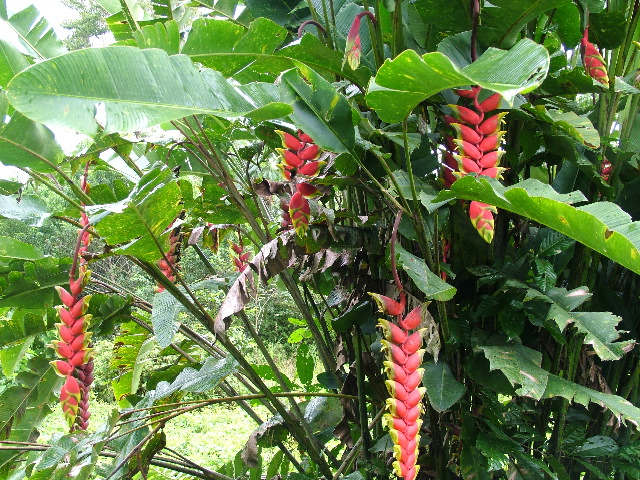 DSCF3025.JPG