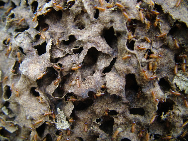 DSCF3028.JPG