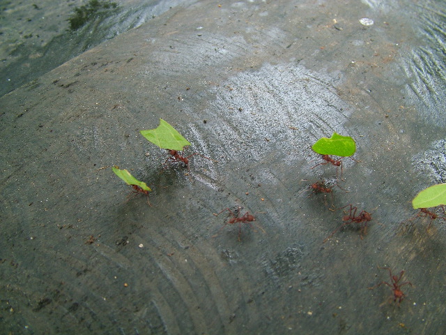 DSCF3030.JPG