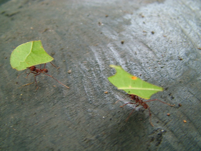DSCF3031.JPG
