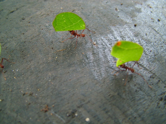 DSCF3032.JPG