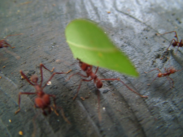 DSCF3033.JPG