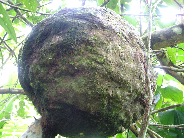 DSCF3035.JPG