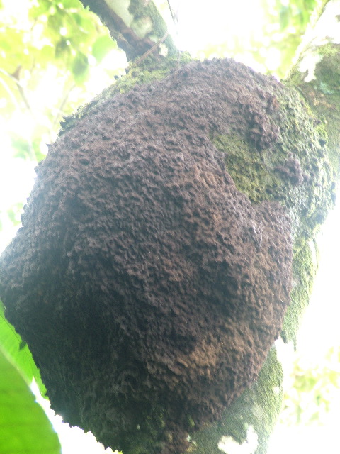 DSCF3038.JPG