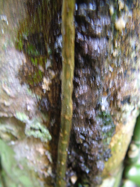 DSCF3039.JPG