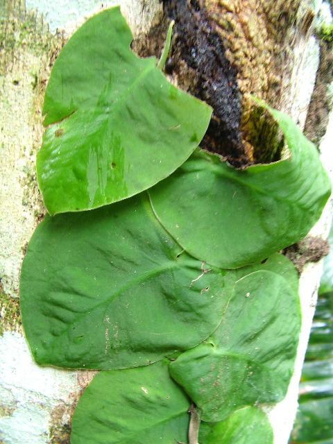 DSCF3044.JPG