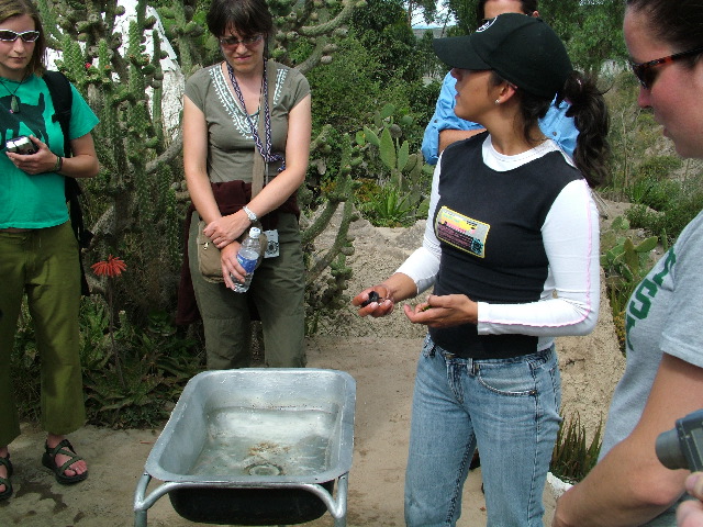 DSCF2561.JPG