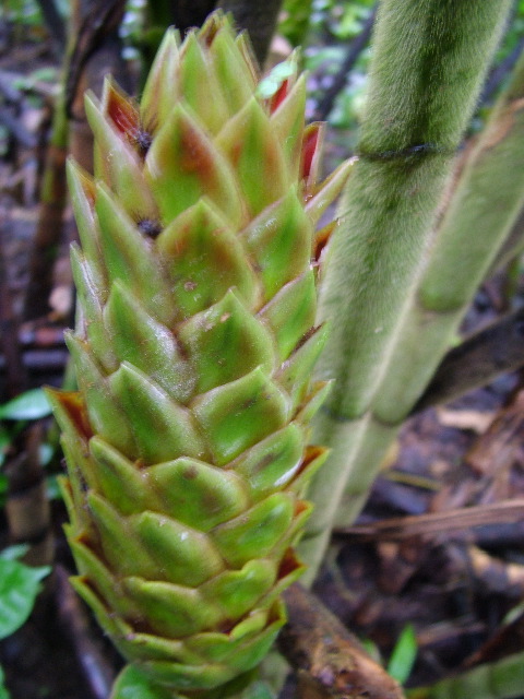 DSCF3045.JPG