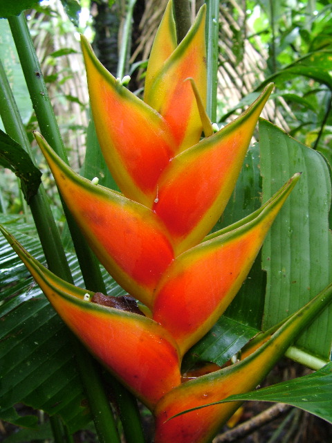 DSCF3049.JPG