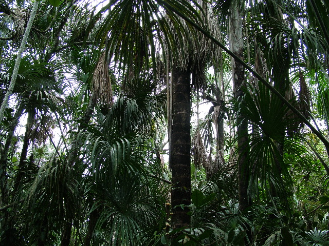 DSCF3055.JPG