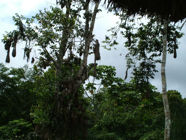 DSCF3057.JPG