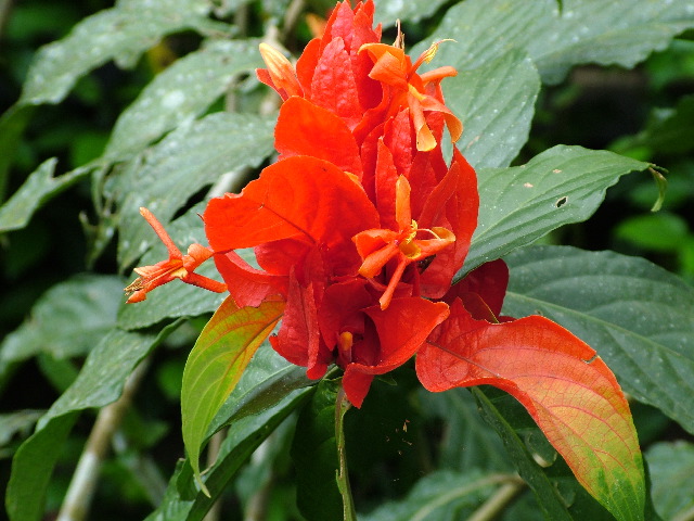 DSCF3058.JPG