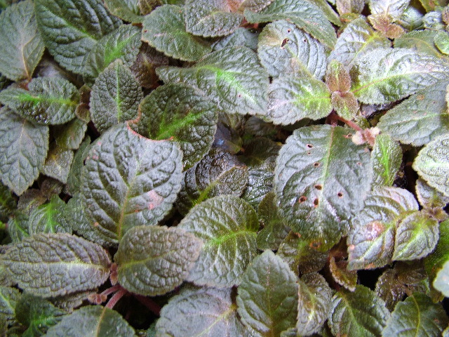 DSCF3059.JPG