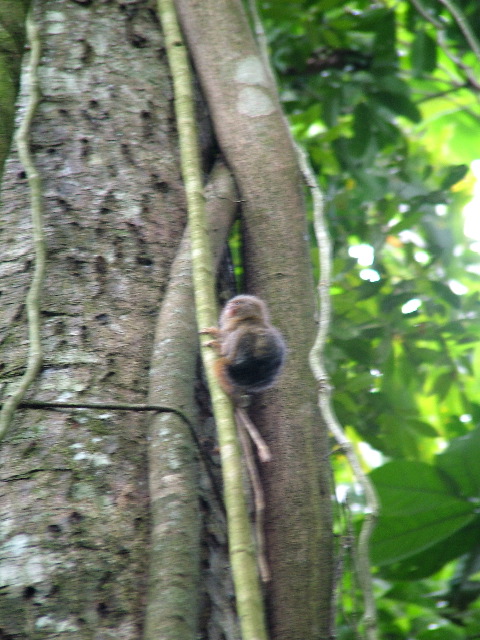 DSCF3060.JPG
