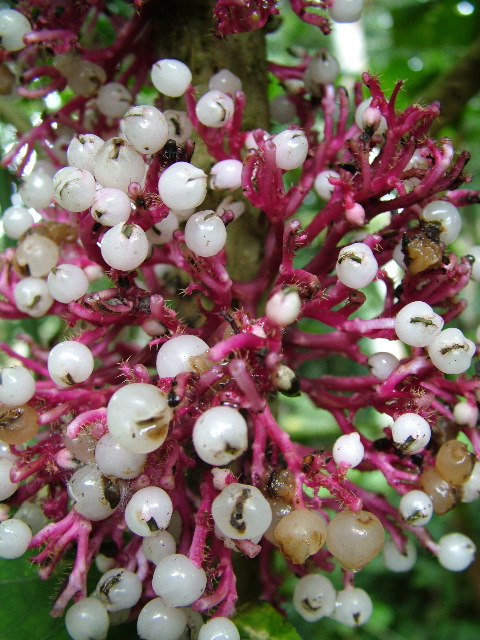 DSCF3061.JPG