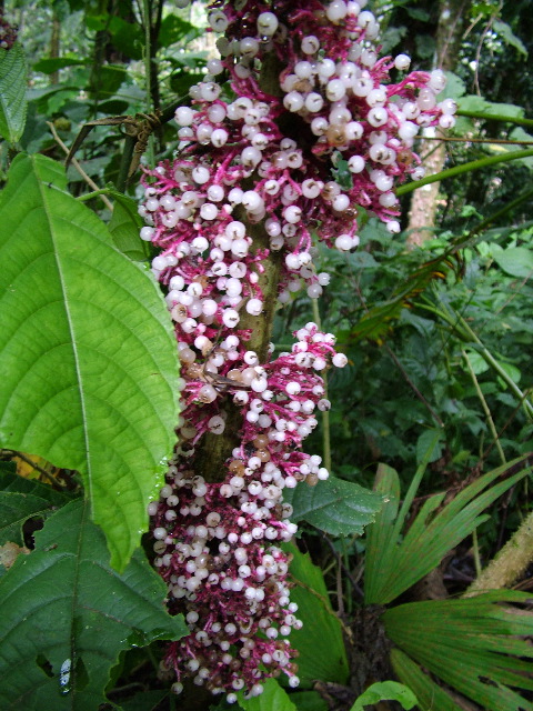 DSCF3062.JPG