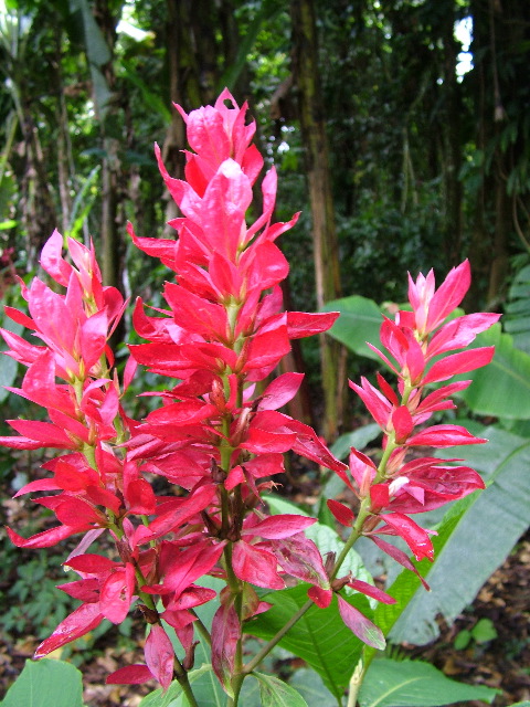 DSCF3064.JPG