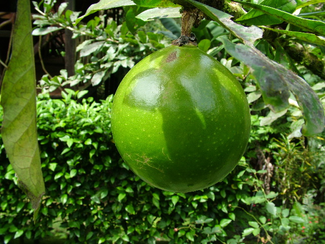DSCF3066.JPG