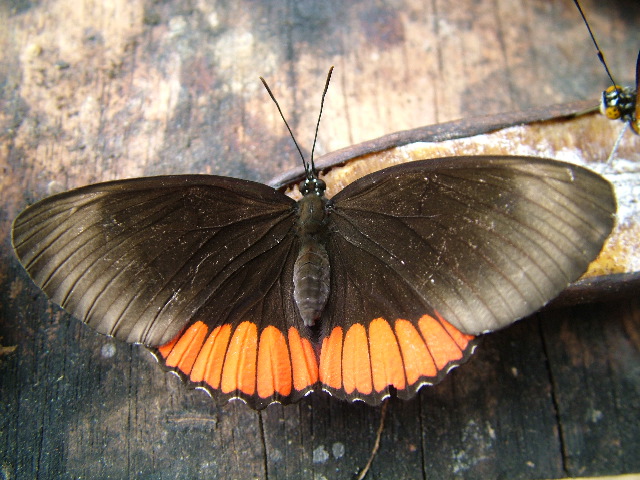 DSCF3070.JPG