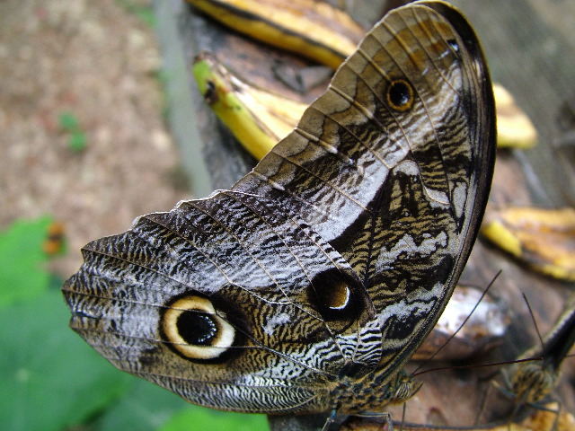 DSCF3071.JPG