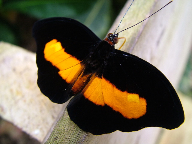 DSCF3073.JPG