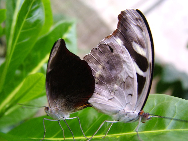 DSCF3074.JPG