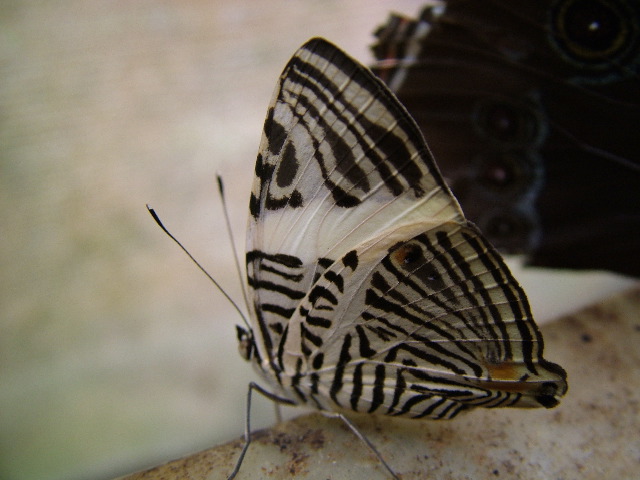 DSCF3083.JPG