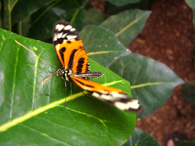 DSCF3086.JPG