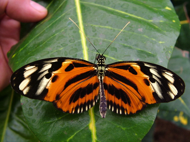 DSCF3087.JPG