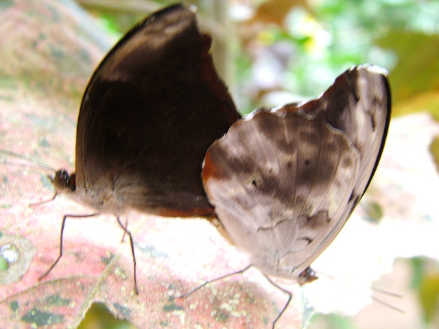 DSCF3089.JPG