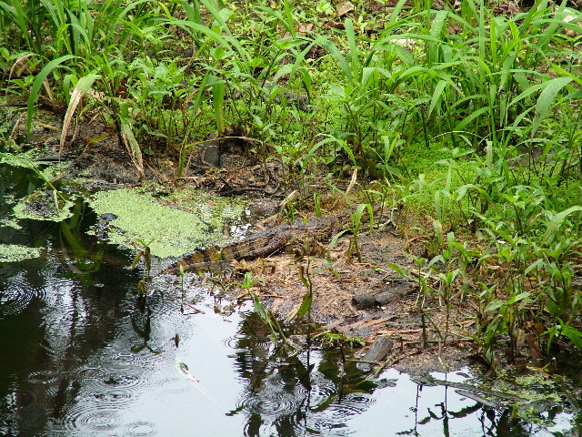 DSCF3091.JPG