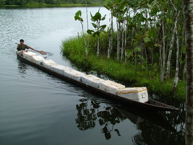 DSCF3092.JPG