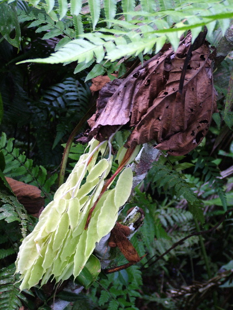 DSCF3100.JPG