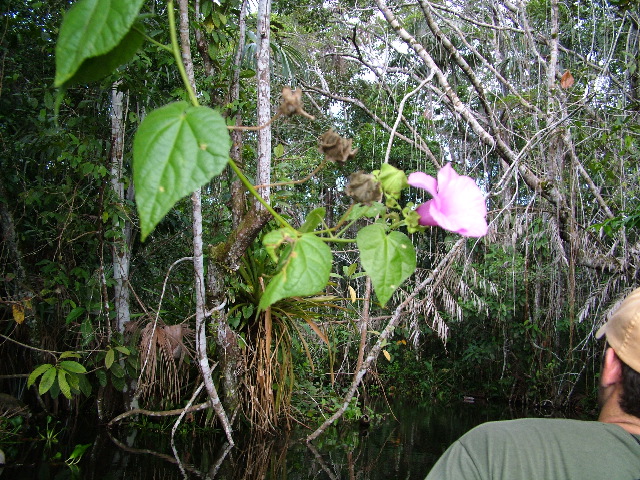 DSCF3103.JPG