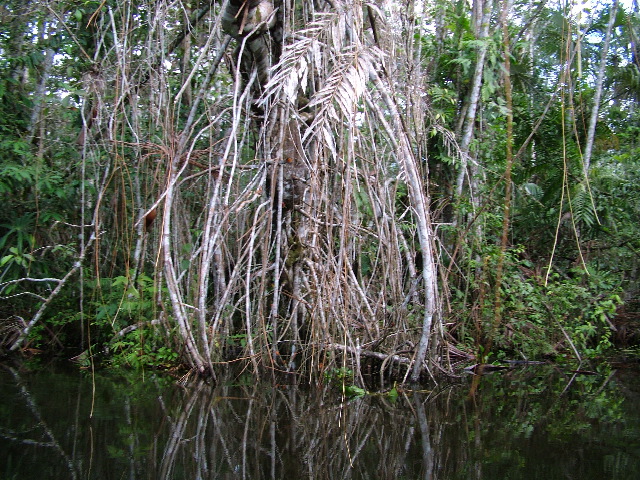 DSCF3104.JPG