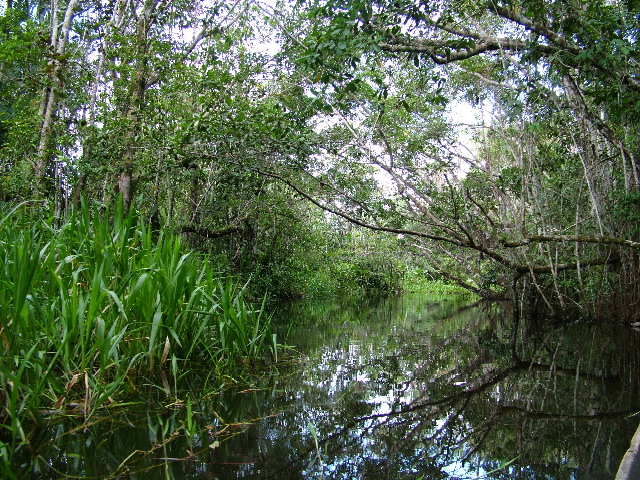 DSCF3105.JPG