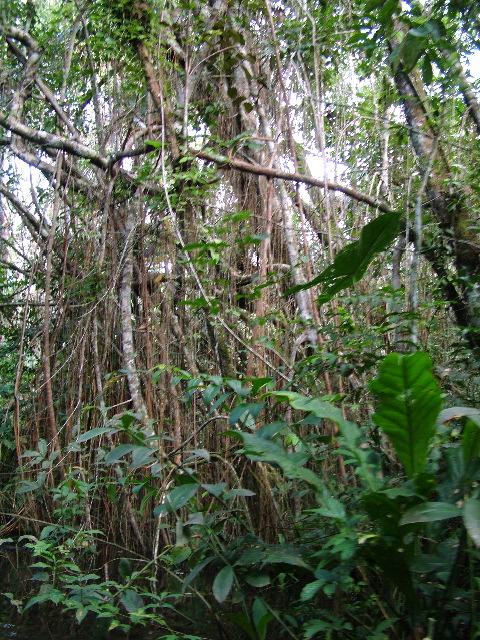 DSCF3108.JPG