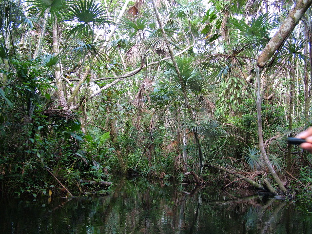 DSCF3109.JPG