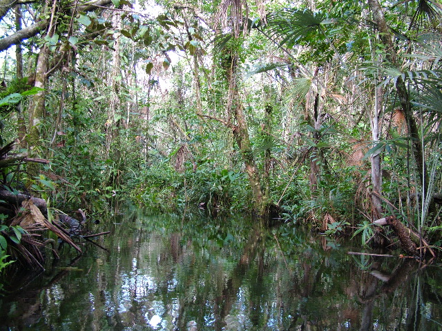 DSCF3110.JPG