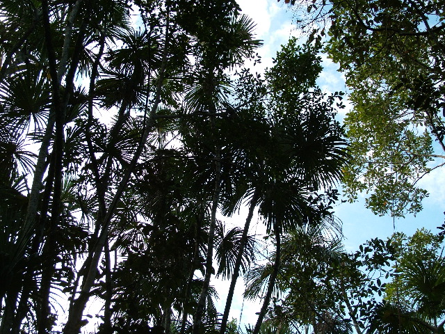 DSCF3111.JPG