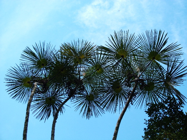 DSCF3112.JPG