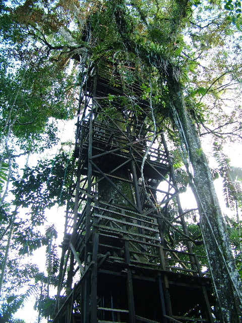 DSCF3116.JPG