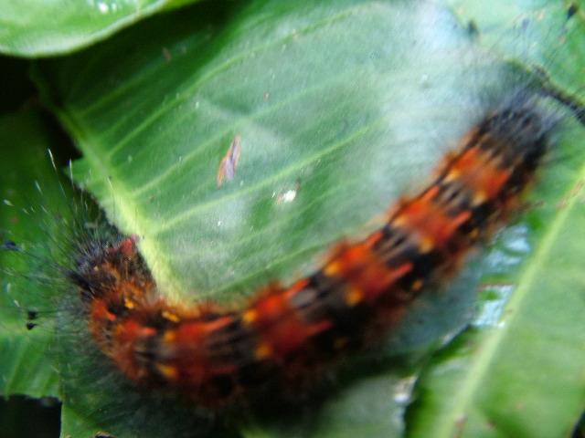 DSCF3117.JPG