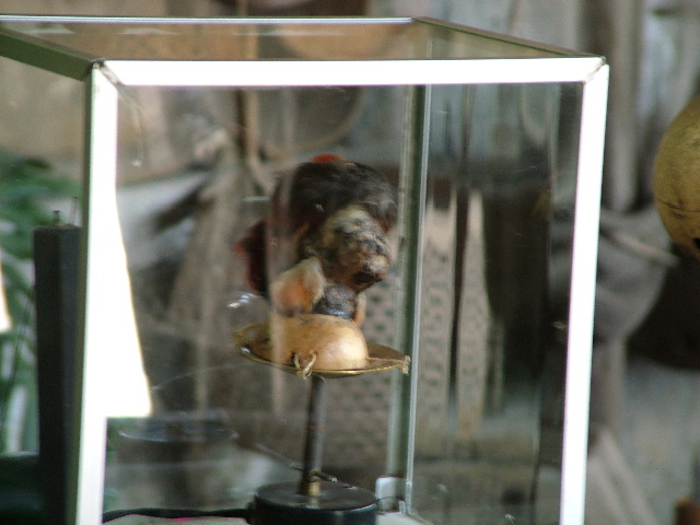 DSCF2580.JPG