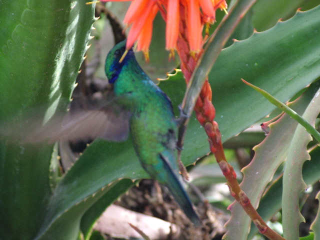 DSCF2586.JPG