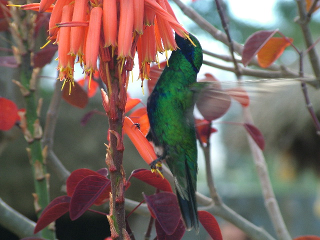 DSCF2588.JPG